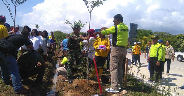 Pangdam Ikut Hijaukan Batam dengan Tanam Ketapang Kencana